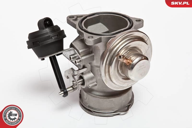 EGR Valve 14SKV024
