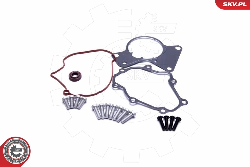 Repair Set, vacuum pump (braking system) 18SKV802