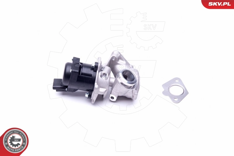 EGR Valve 14SKV202