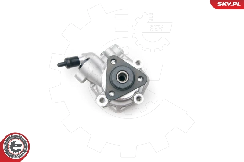 Hydraulic Pump, steering 10SKV194