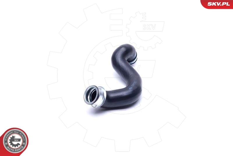 Radiator Hose 43SKV897
