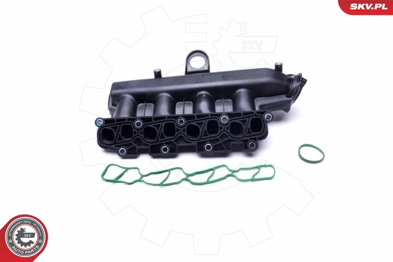 Intake Manifold Module 49SKV038