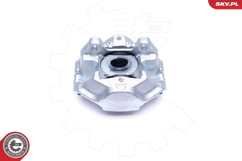 Brake Caliper 45SKV251