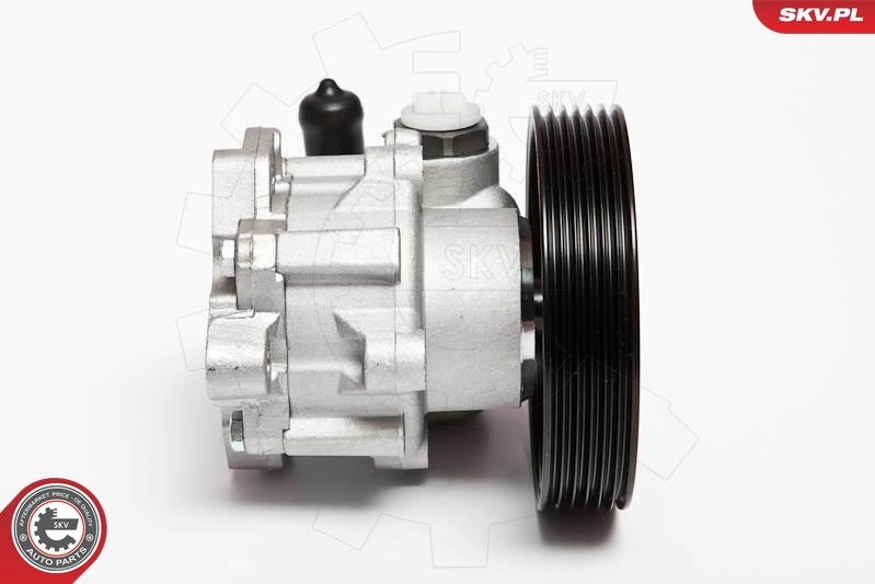 ESEN SKV 10SKV004 Hydraulic Pump, steering