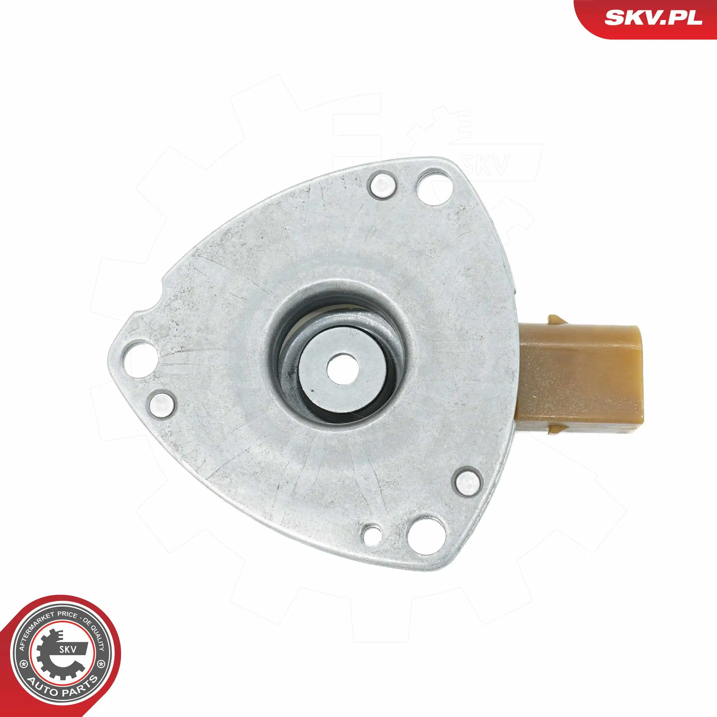 Central Magnet, camshaft adjustment 39SKV901