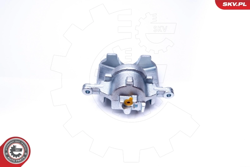 Brake Caliper 42SKV181