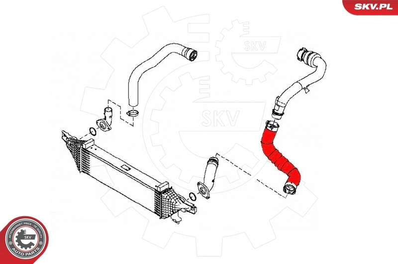 Charge Air Hose 43SKV374