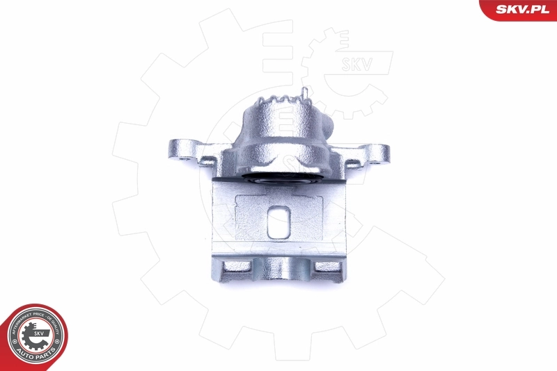 Brake Caliper 42SKV954