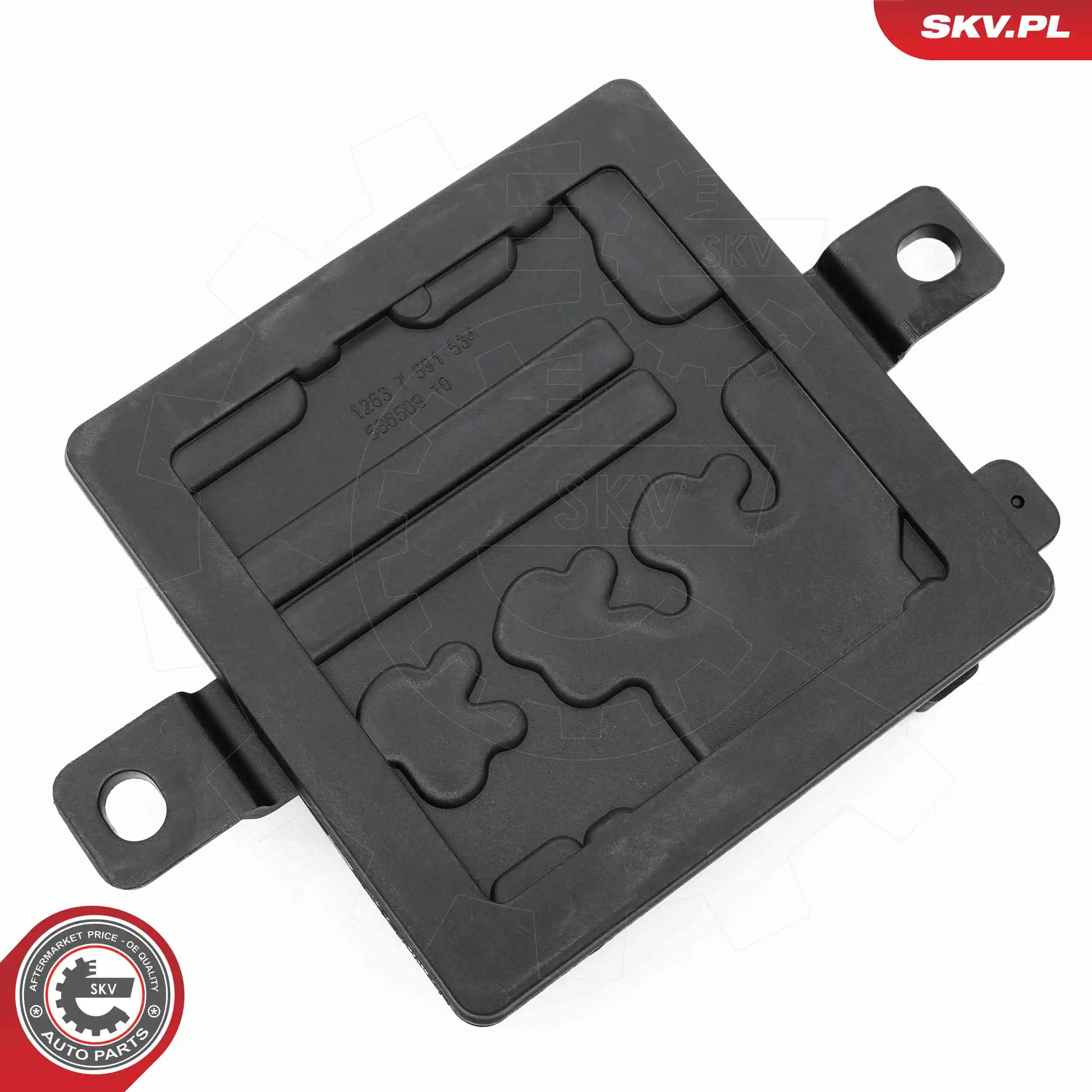 ESEN SKV 03SKV911 Control Unit, ignition system