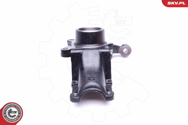 Steering Knuckle, wheel suspension 47SKV252
