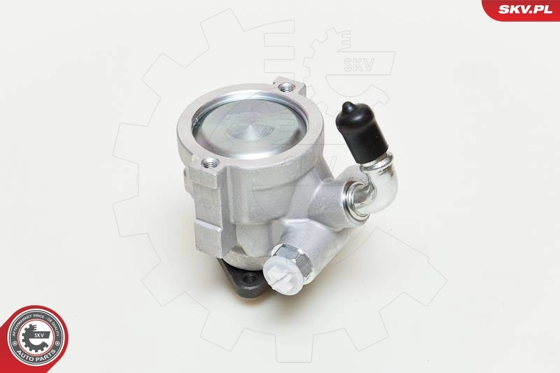 Hydraulic Pump, steering 10SKV061