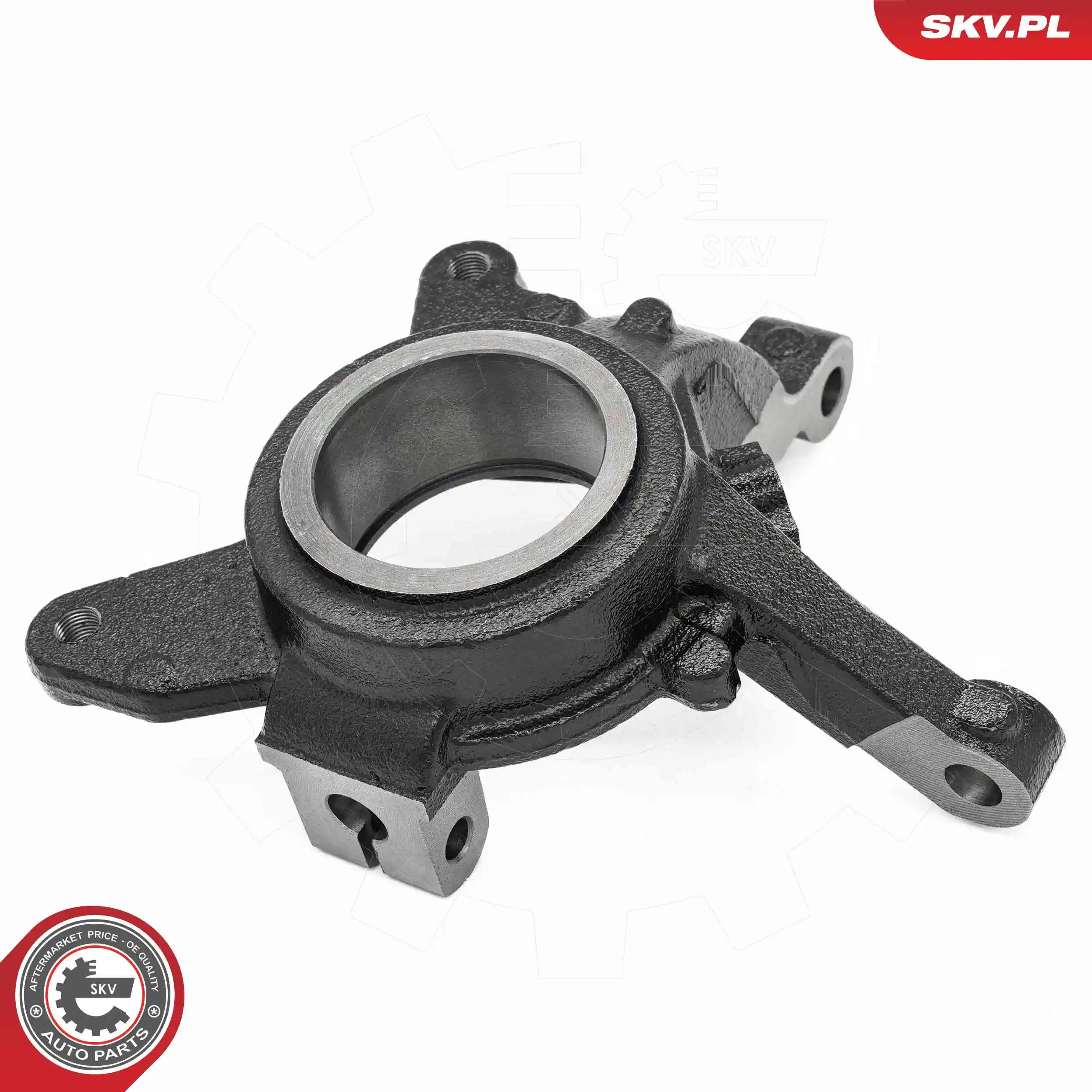 Steering Knuckle, wheel suspension 73SKV081