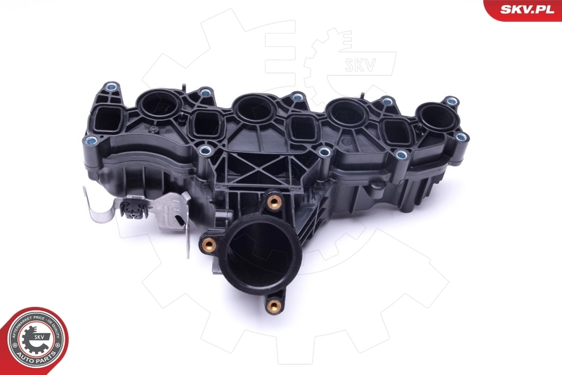 Intake Manifold Module 49SKV047