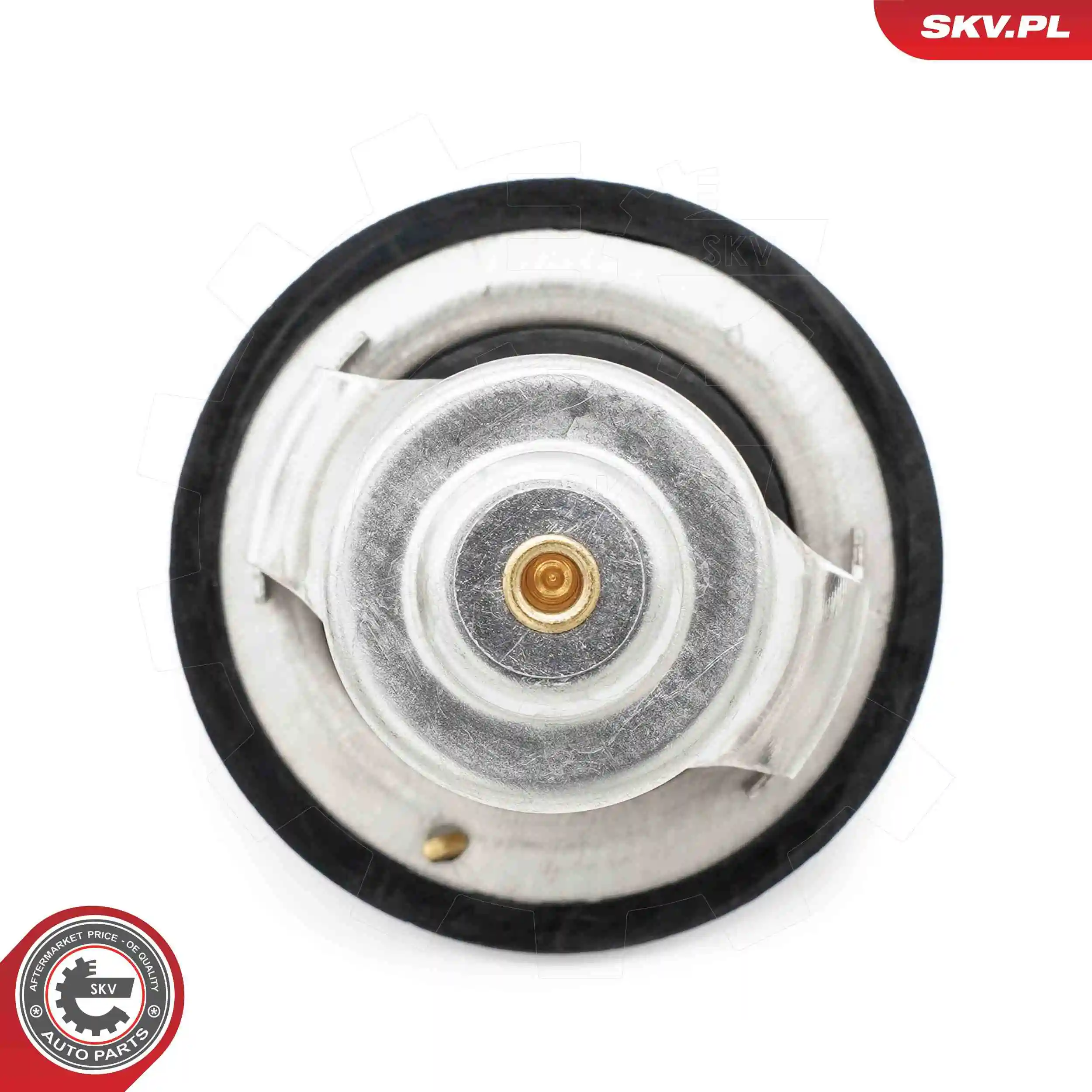 Thermostat, coolant 20SKV219
