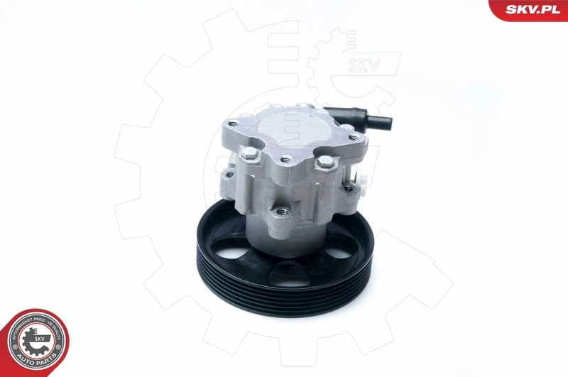 Hydraulic Pump, steering 10SKV073