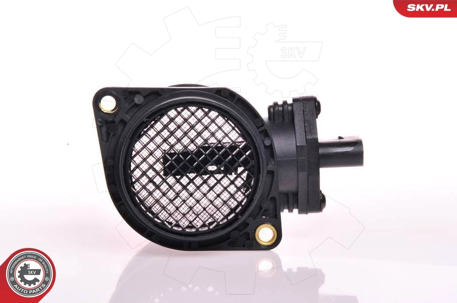 Mass Air Flow Sensor 07SKV049