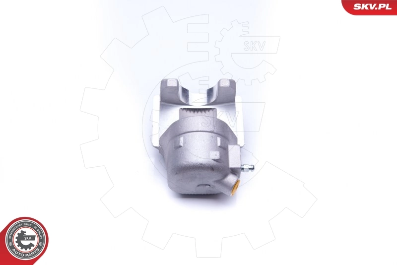 Brake Caliper 42SKV671