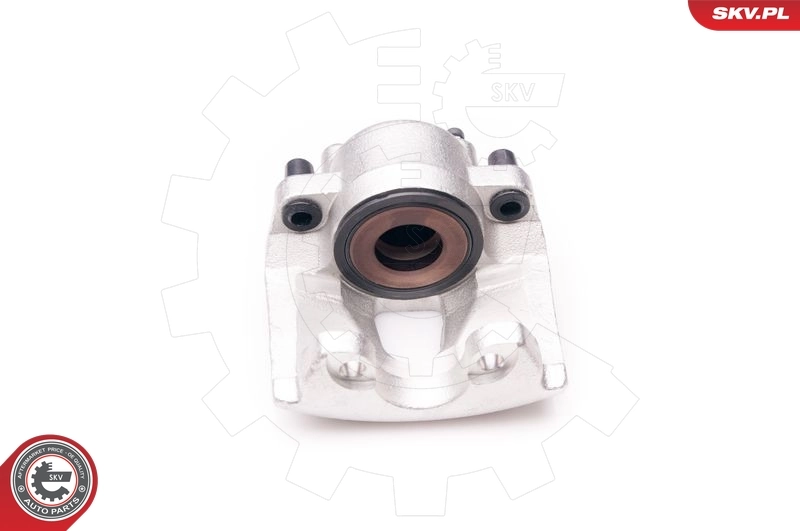 Brake Caliper 34SKV292