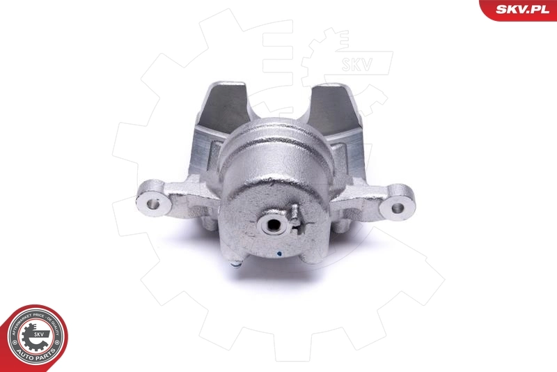 Brake Caliper 46SKV831