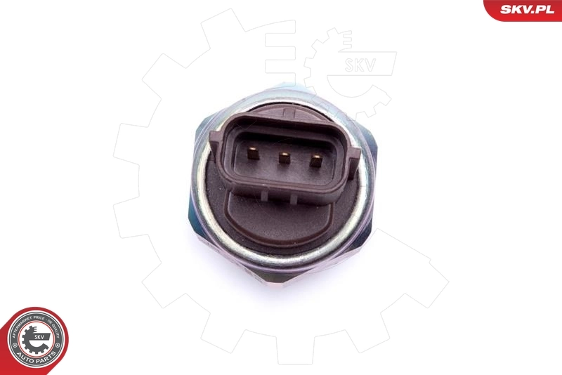 Sensor, fuel pressure 17SKV738