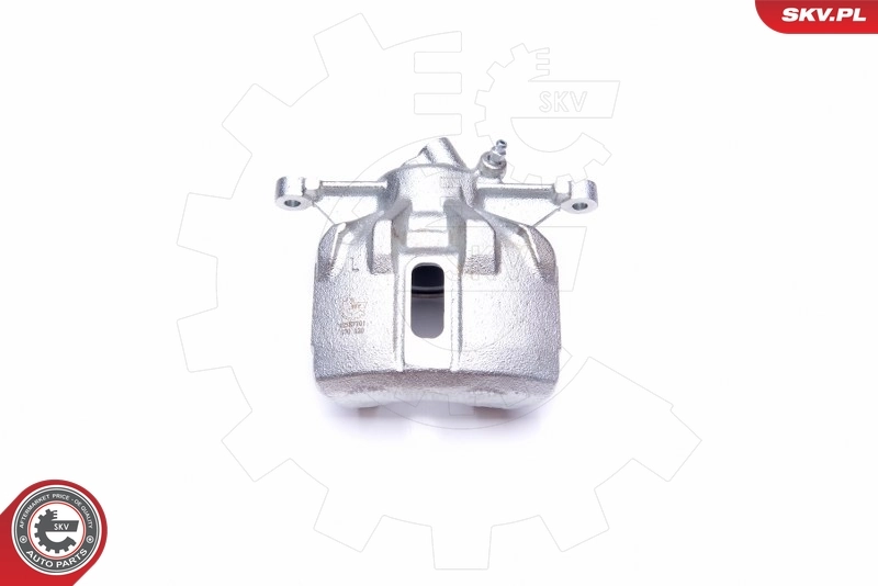 Brake Caliper 42SKV701
