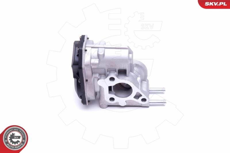 ESEN SKV 14SKV215 EGR Valve