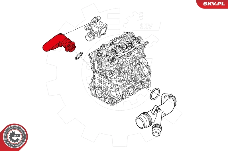 Radiator Hose 24SKV253