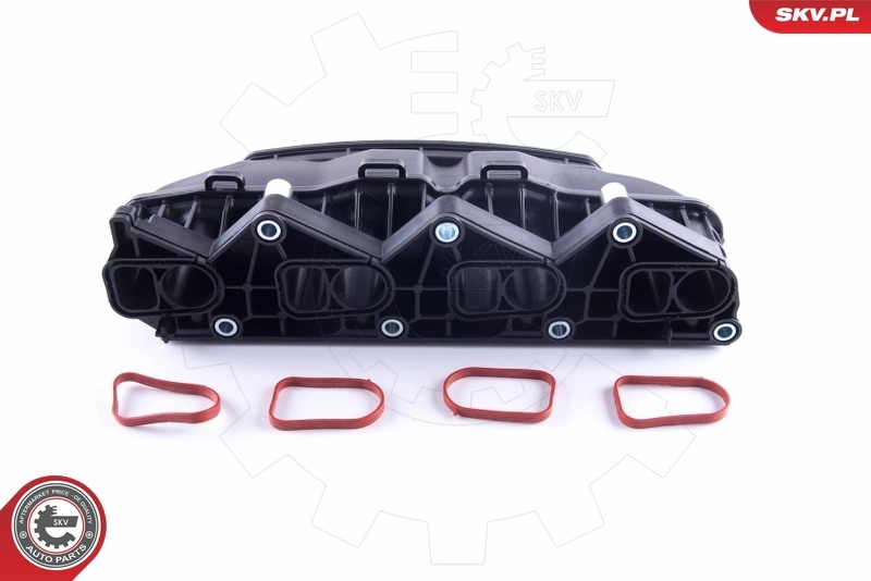 Intake Manifold Module 49SKV057