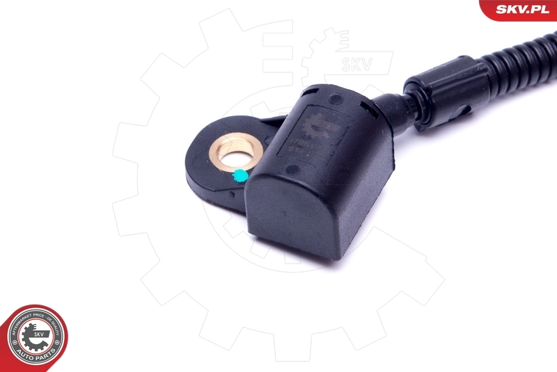Sensor, camshaft position 17SKV486