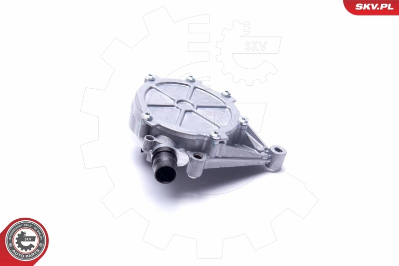 Vacuum Pump, braking system 18SKV026