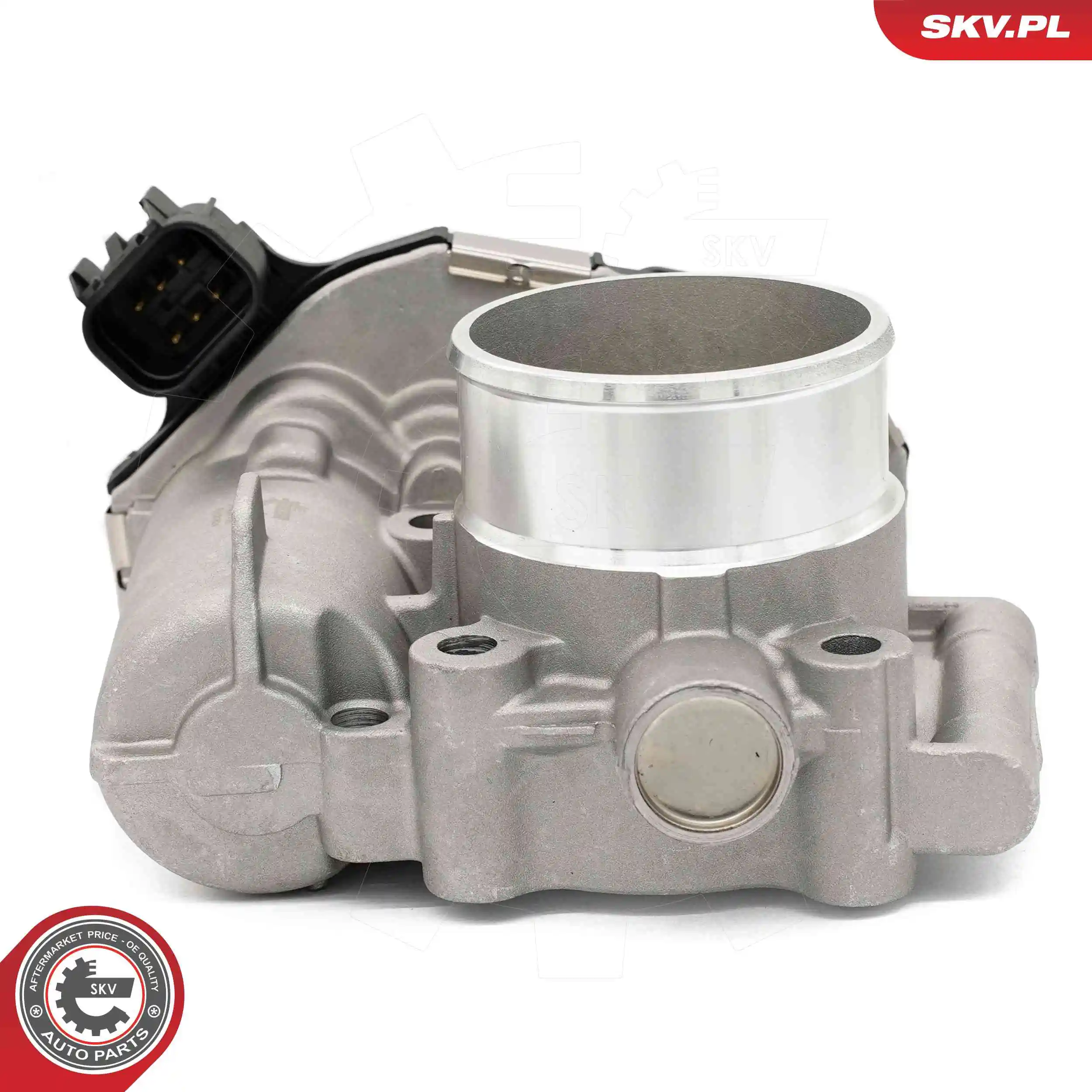 Throttle Body 12SKV135