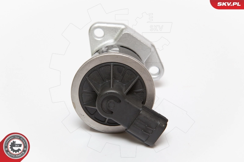 EGR Valve 14SKV070