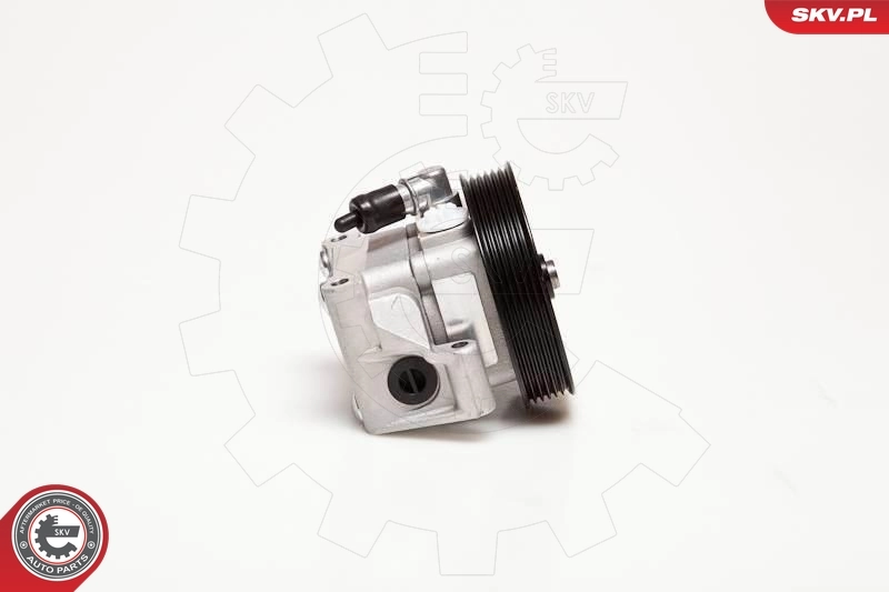 Hydraulic Pump, steering 10SKV001