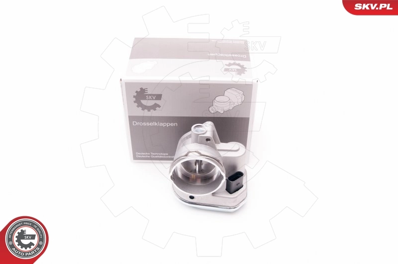 Throttle Body 12SKV055