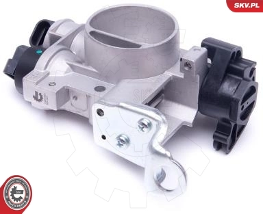 Throttle Body 12SKV081