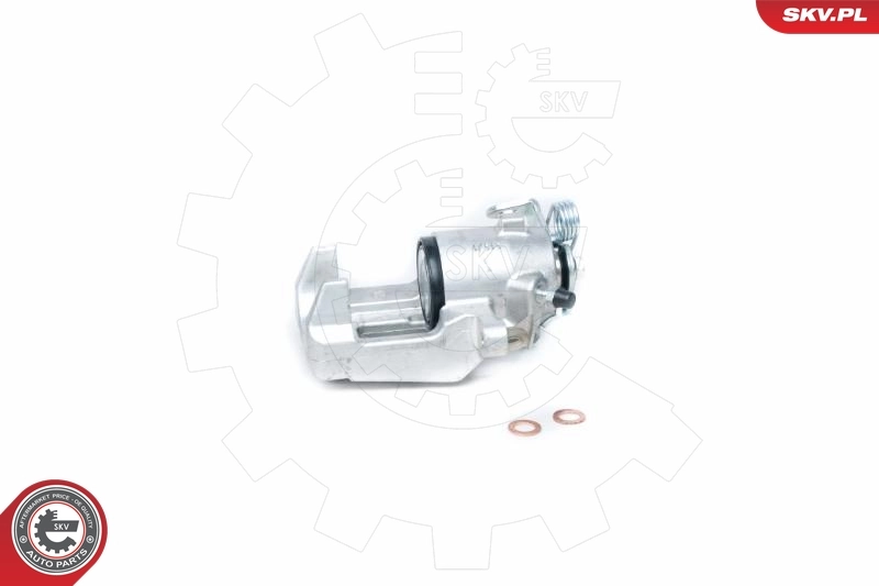 Brake Caliper 23SKV033