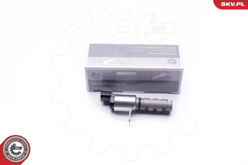 Control Valve, camshaft adjustment 39SKV041