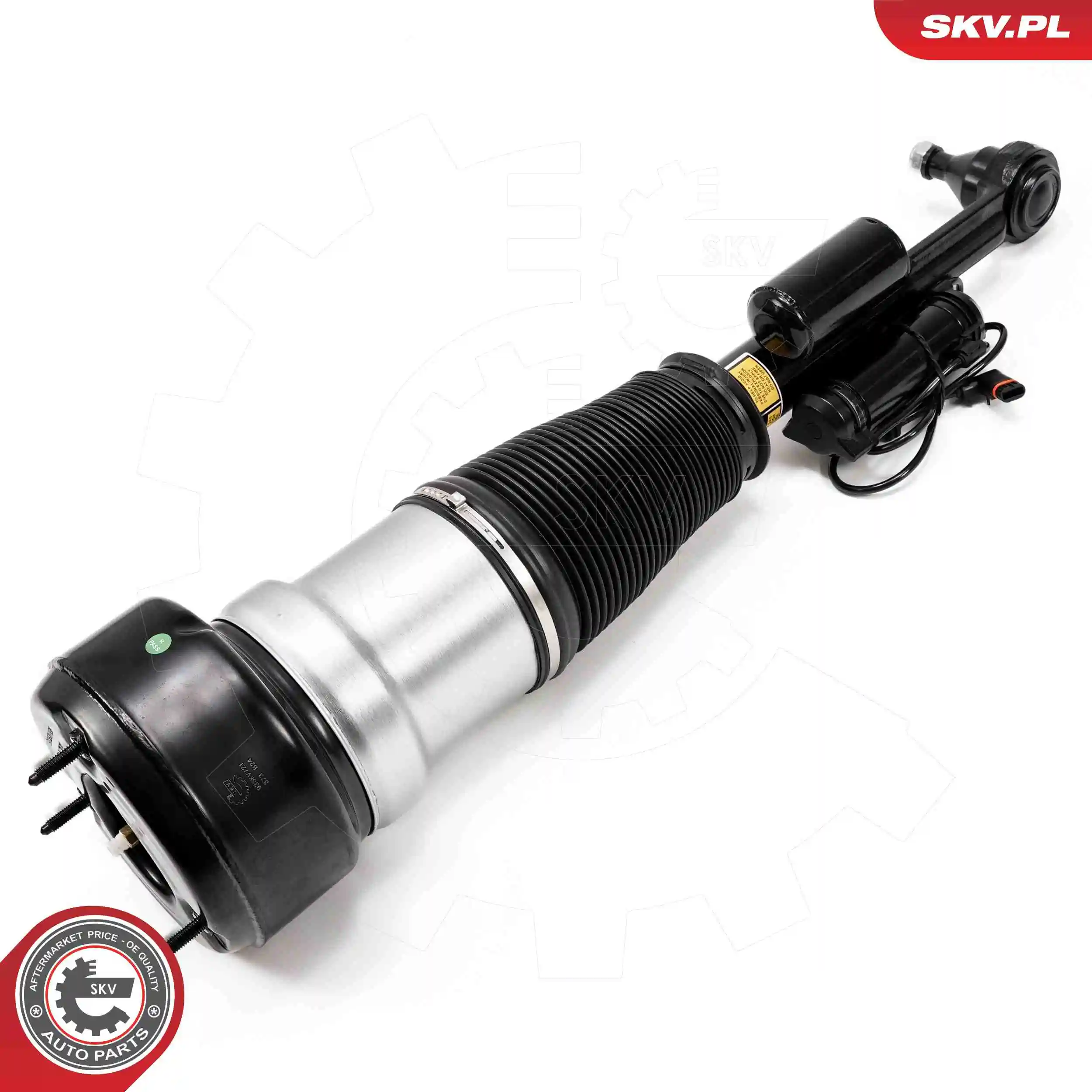 Air Suspension Strut 58SKV721