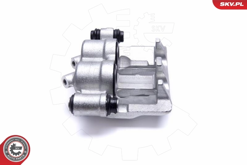 Brake Caliper 55SKV151