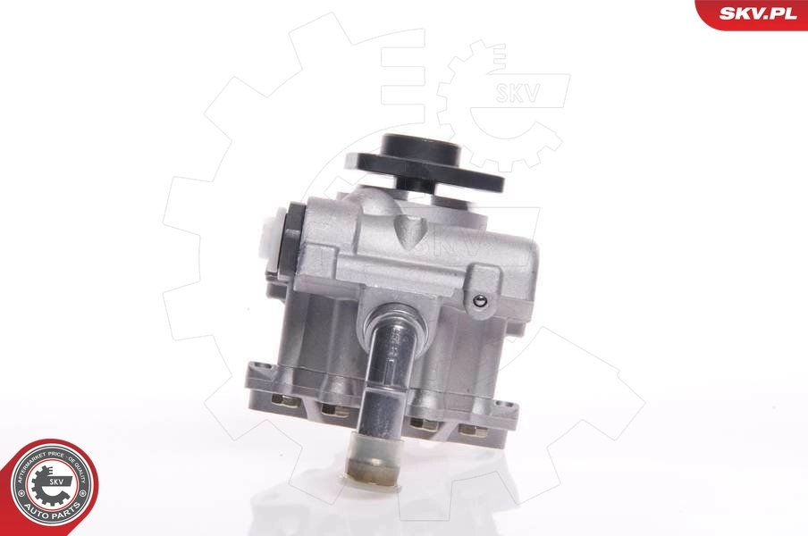 Hydraulic Pump, steering 10SKV145