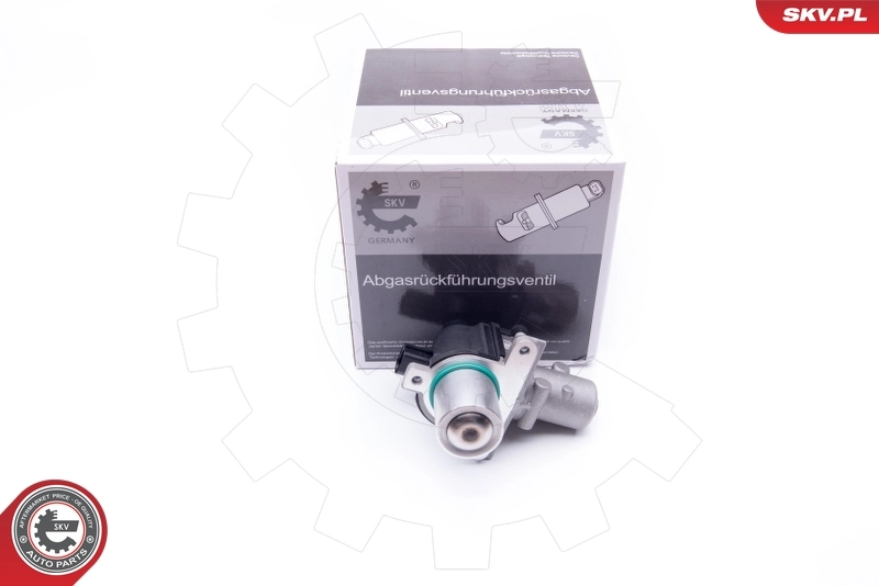 EGR Valve 14SKV163