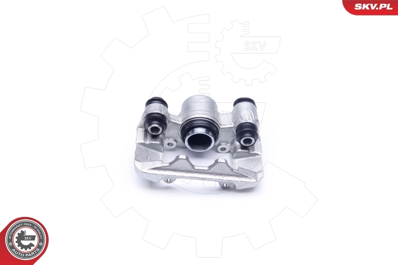 Brake Caliper 42SKV284
