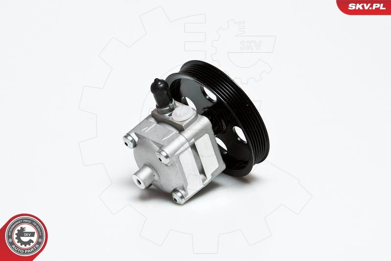 Hydraulic Pump, steering 10SKV028