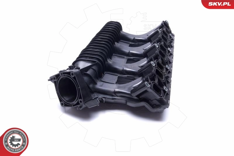 Intake Manifold Module 49SKV025