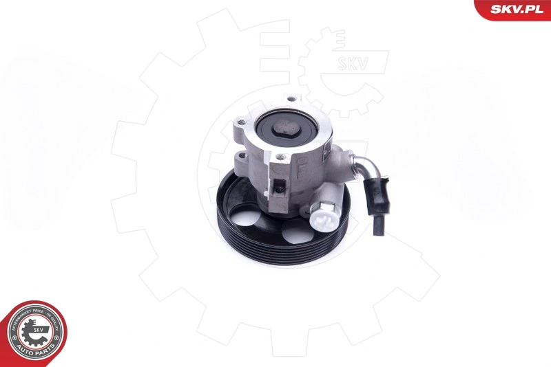 Hydraulic Pump, steering 10SKV250