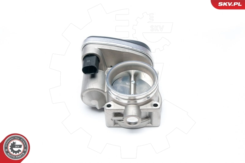Throttle Body 12SKV050