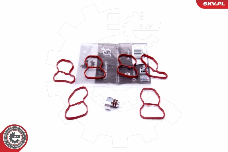 Repair Kit, intake manifold module 49SKV516