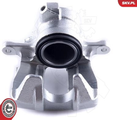 Brake Caliper 55SKV131