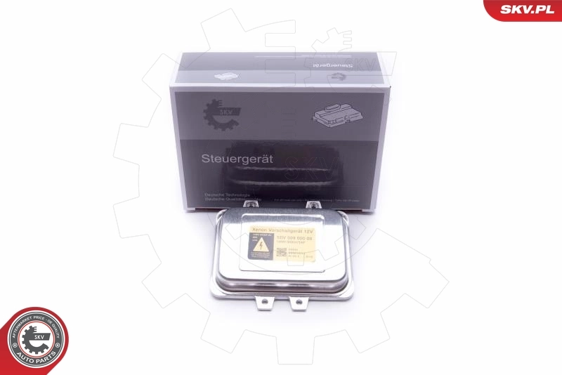 Control Unit, lights 59SKV011