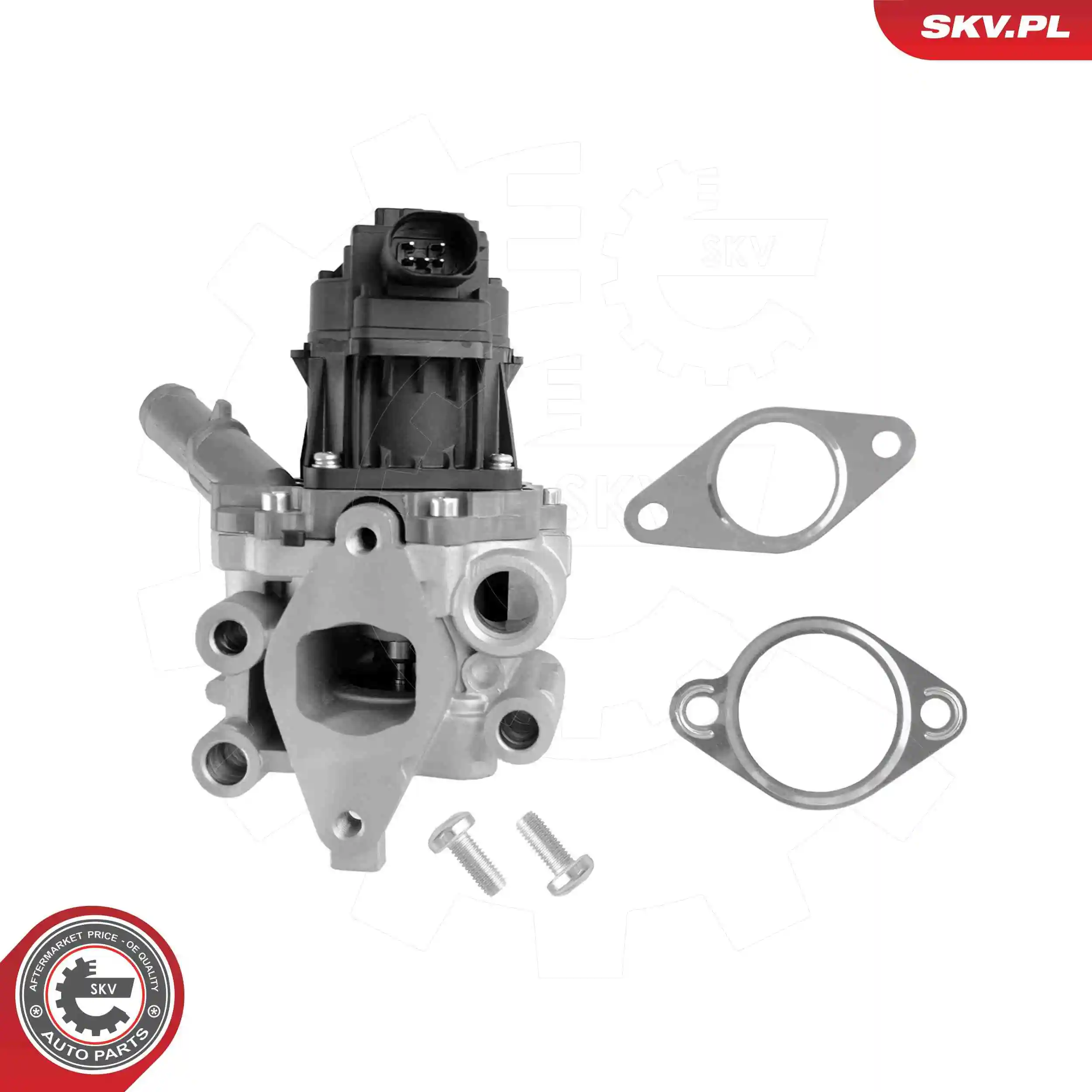 EGR Valve 14SKV312